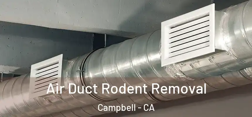  Air Duct Rodent Removal Campbell - CA