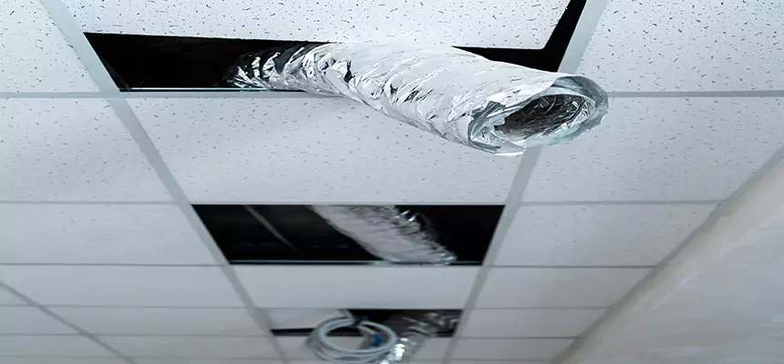 Our Air Duct Pet Hair Removal Services in Campbell, CA