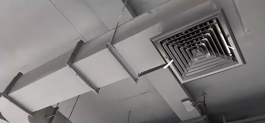 Restorative Allergy Relief Vent Cleaning – Coil, Blower & Housing Detail in Campbell