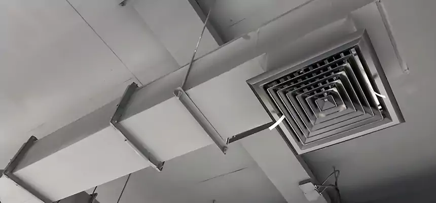 Our Rodent Droppings In Vents Services in Campbell, CA