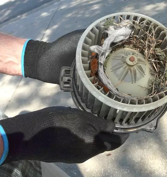 About Air Duct Mice Removal in Campbell, CA