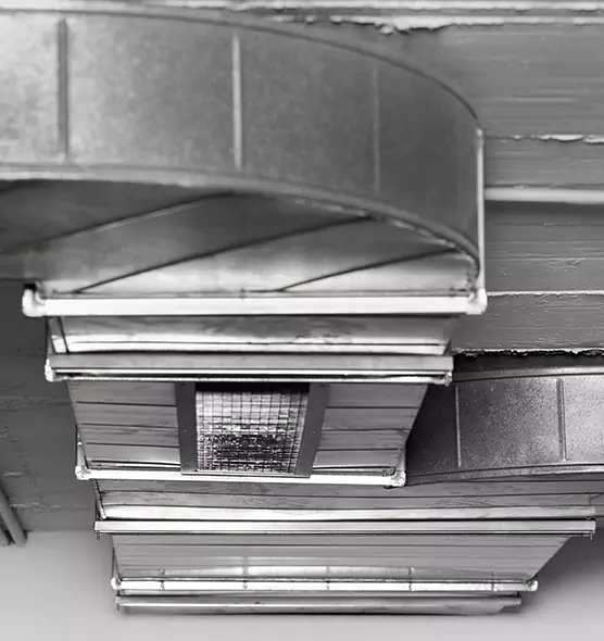 Professional Air Duct Pest Removal in Campbell, CA