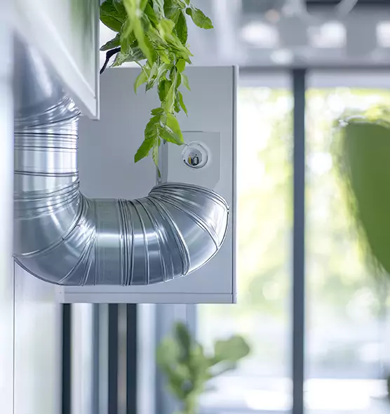 Professional Eco-Safe Dryer Vent Cleaning in Campbell, CA