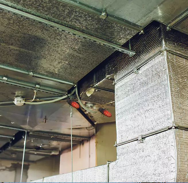 Why Homeowners & Businesses Trust Us in Campbell, CA?