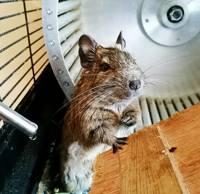 Why Homeowners & Businesses Trust Us Campbell, CA?